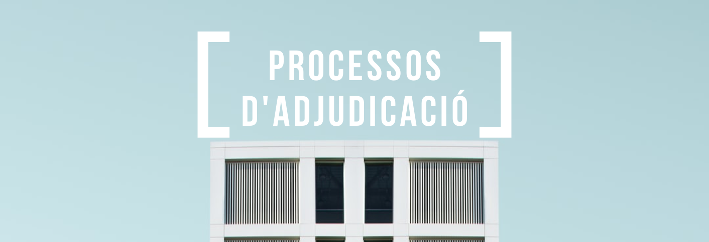 PROCESO DE ADJUDICACION alisado.png