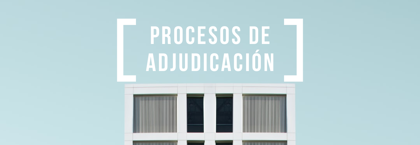 PROCESO DE ADJUDICACION alisado.png