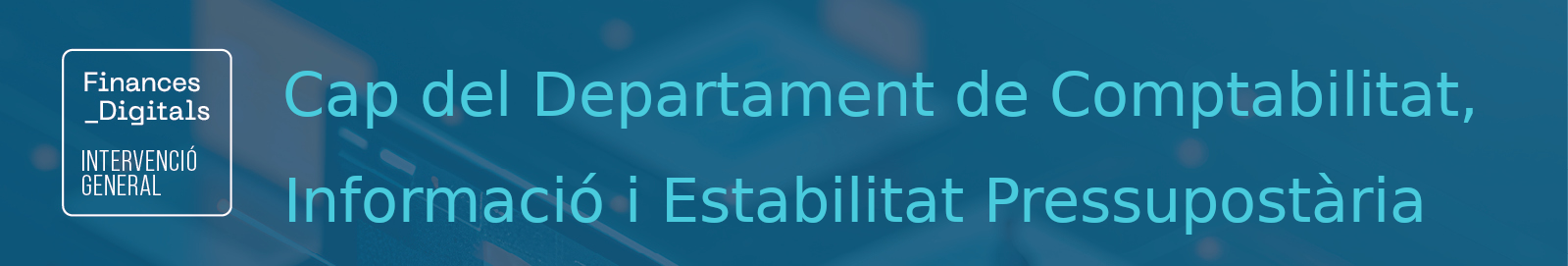 Cap_Departament_Comptabilitat.png