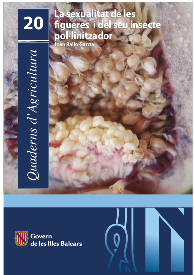 portada_figueres_thumb.jpg
