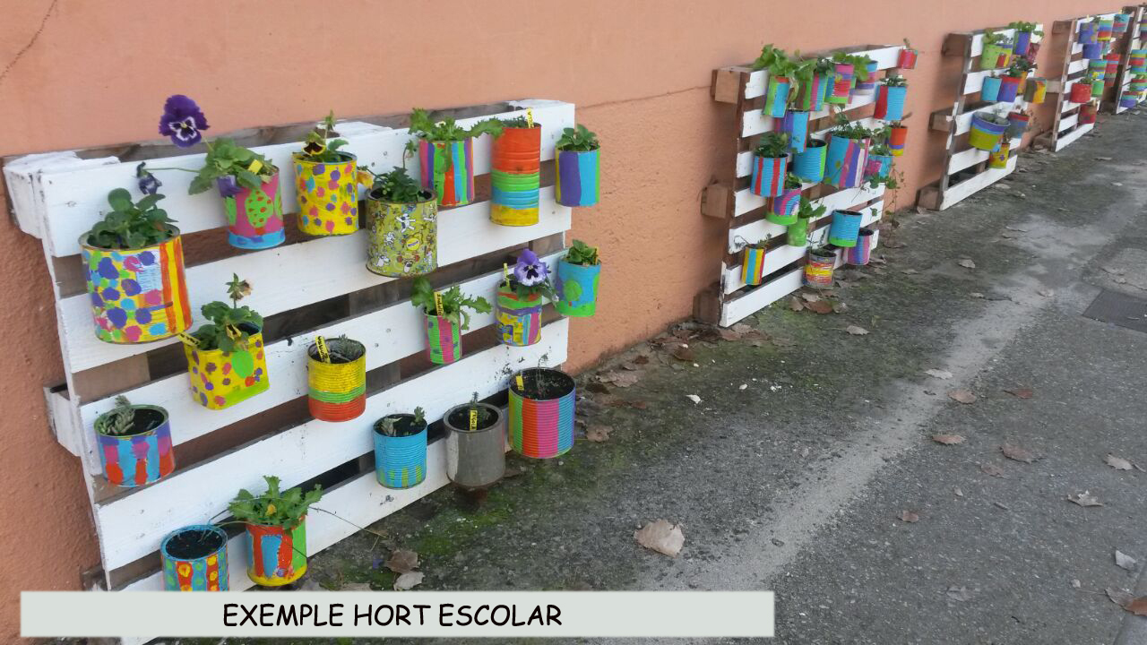 EXEMPLE HORT ESCOLAR