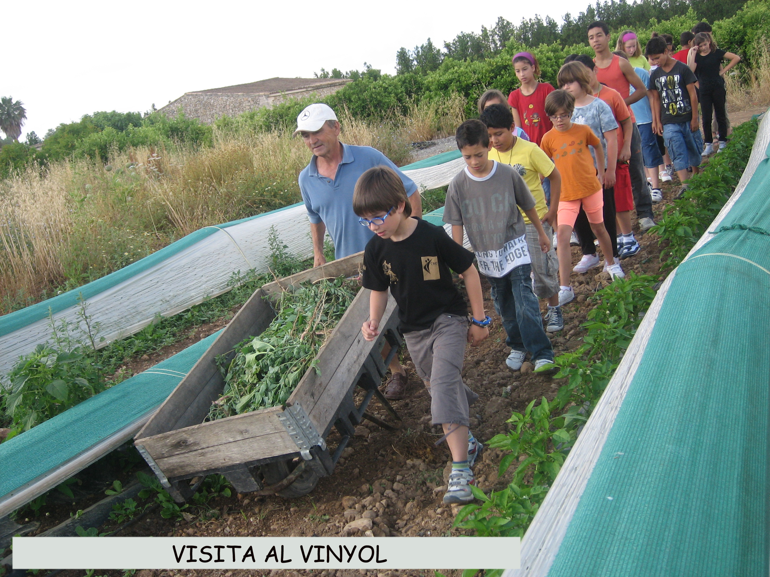 VISITA AL VINYOL 2