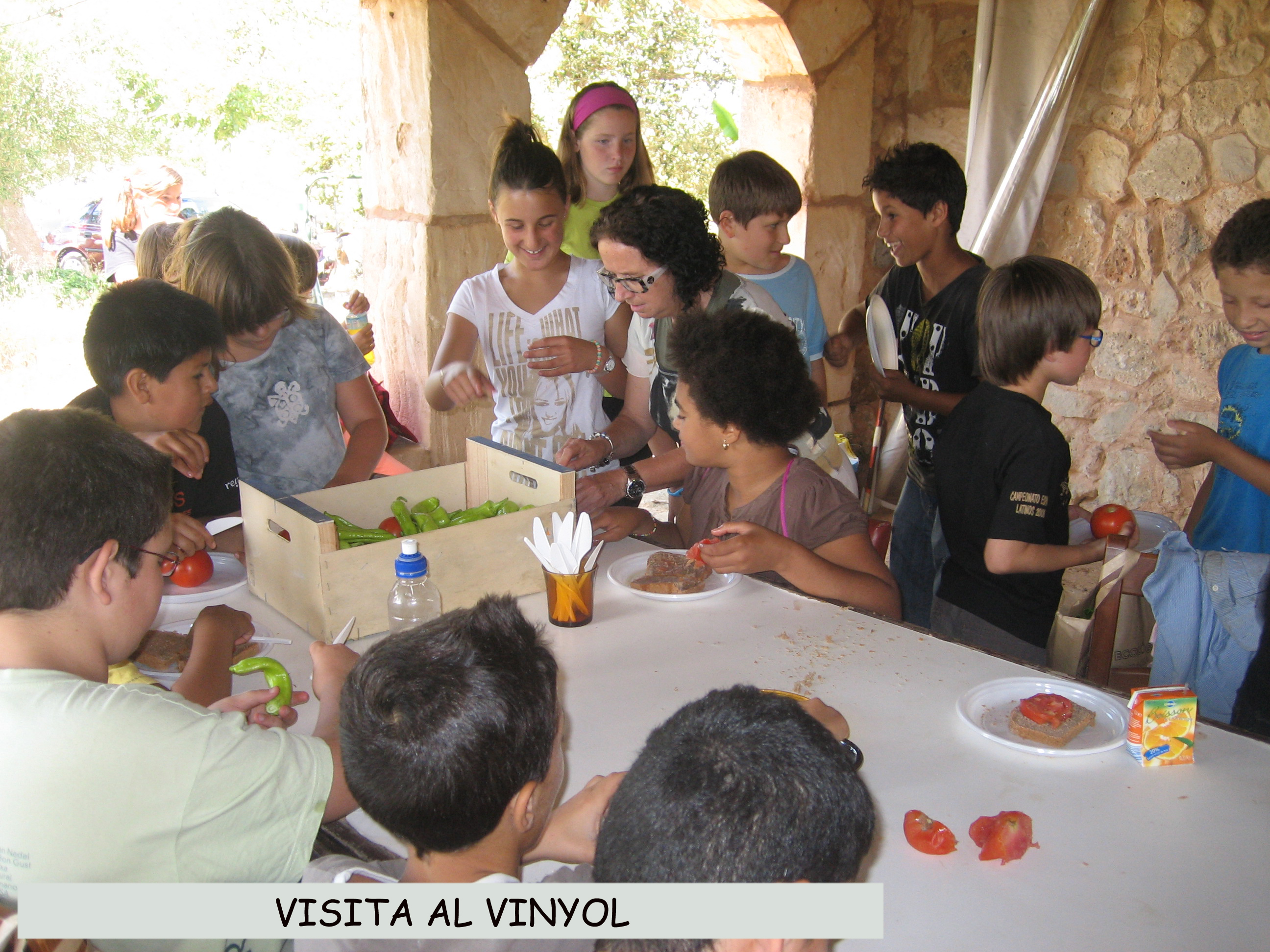 VISITA AL VINYOL 4