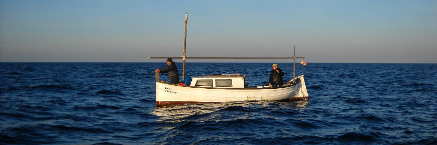 Control de Pesca Recreativa 9