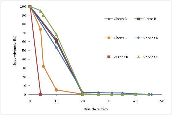 Taxa de supervivència de cada un dels tancs de cultiu per separat: tres d'aigües clares i tres d'aigües verds.