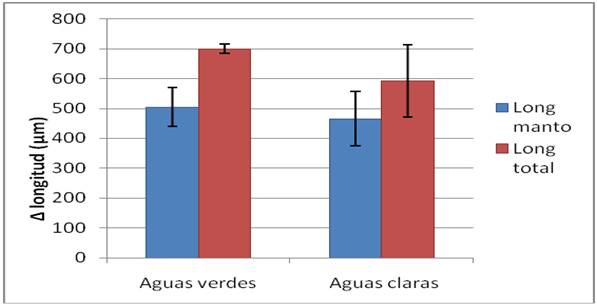 Increment de longitud del mant i longitud total respect de la talla inicial en las paralarves criades en aigües verds i en aigüe clares.
