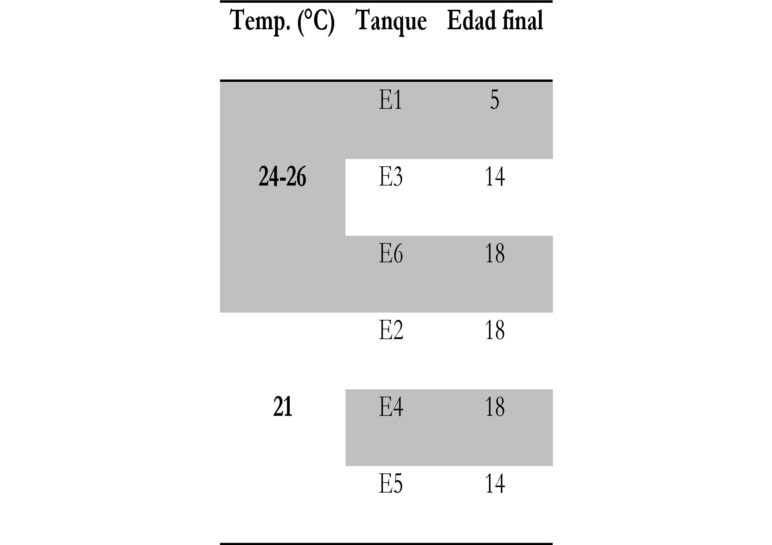 Edad final de las paralarvas en los distintos tanques de cultivo. 
