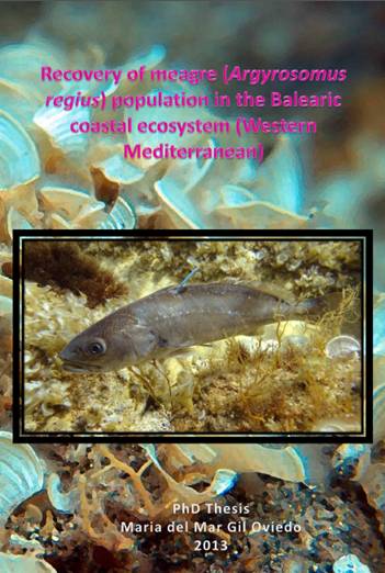 Recovery of meagre (Argyrosomus regius) population in the Balearic coastal ecosystem (Western Mediterranean)