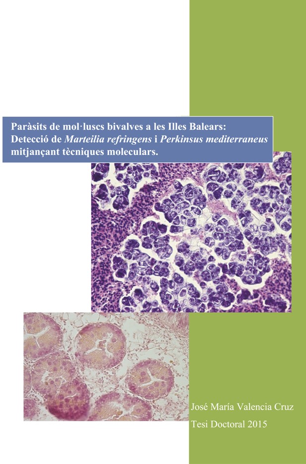 Paràsits de mol·luscs bivalves a les Illes Balears: detecció de Marteilia refringens i Parkinsus mediterraneus mitjançant tècniques moleculars.