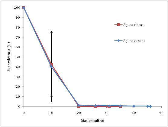 Tasa de supervivencia de las paralarvas de pulpo cultivadas en condiciones de aguas verdes o claras a lo largo del experimento. Medias ± S.D. (n=3).