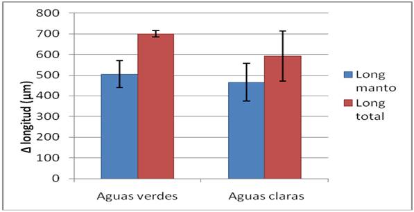 Incremento de longitud del manto y longitud total respecto de la talla inicial en las paralarvas criadas en aguas verdes y en aguas claras.
