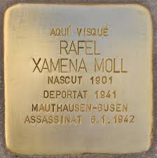 Rafel Xamena Moll