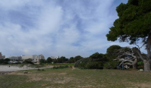 Fosas  de la playa Sa Coma