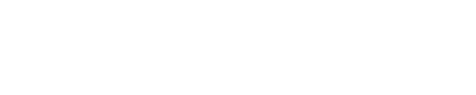 CSS_DGD_NBN.png