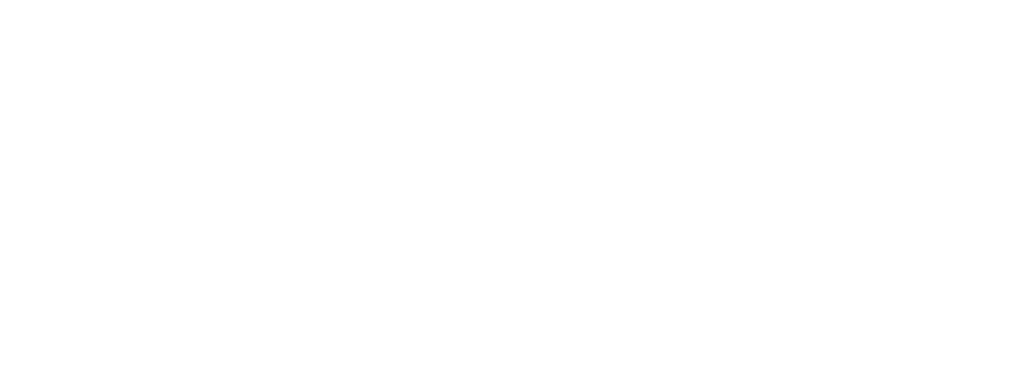 CSS_DGD_NBN.png