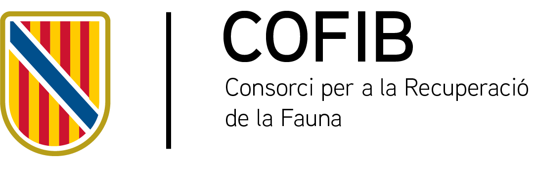 CSS_DGD_COL.png