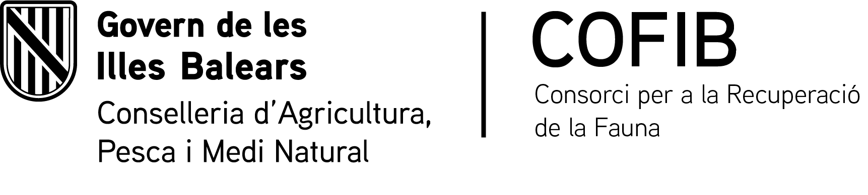 CSS_DGD_BN.png