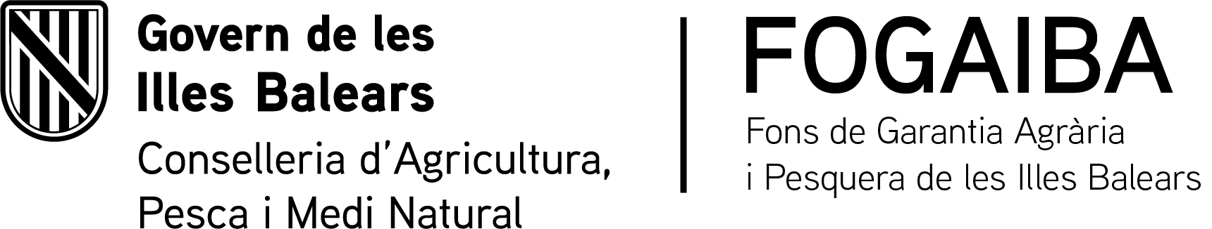 CSS_DGD_BN.png