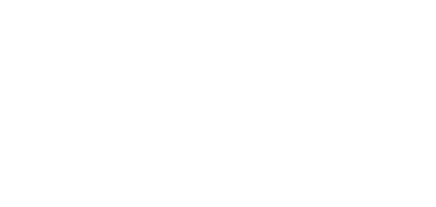 CSS_DGD_NCOL.png