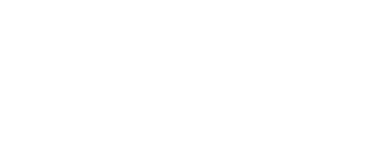 CSS_DGD_NBN.png