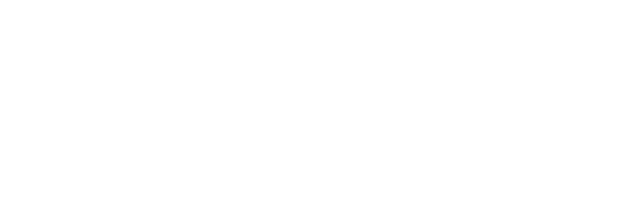 CSS_DGD_NBN.png