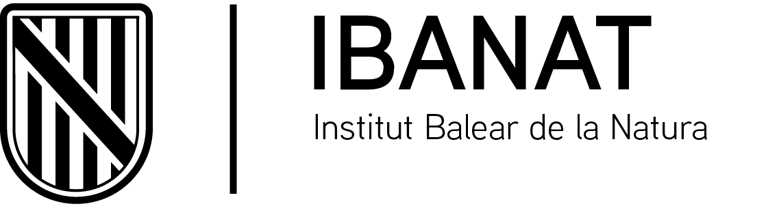 CSS_DGD_BN.png