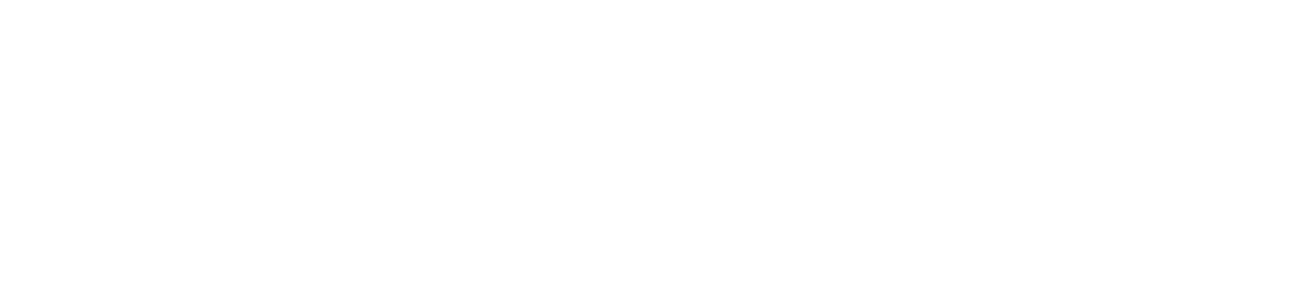 CSS_DGD_NBN.png
