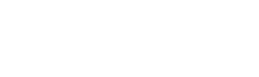 CSS_DGD_NBN.png