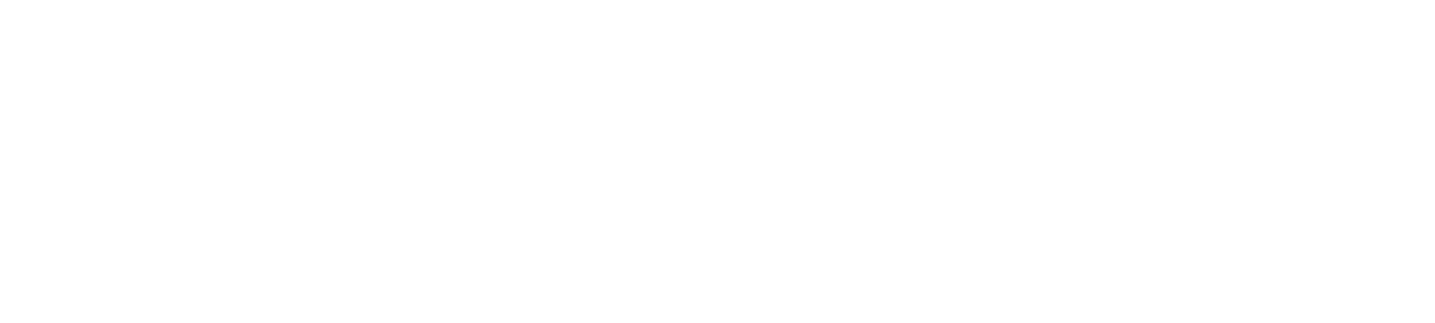 CSS_DGD_NBN.png