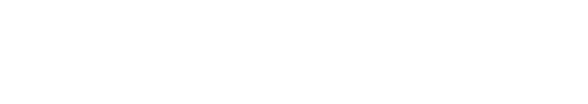 CSS_DGD_NBN.png