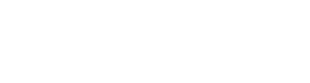 CSS_DGD_NBN.png
