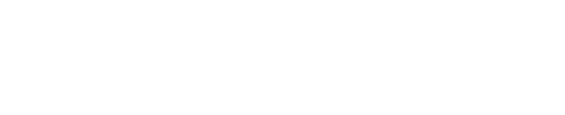 CSS_DGD_NBN.png