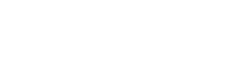 CSS_DGD_NBN.png