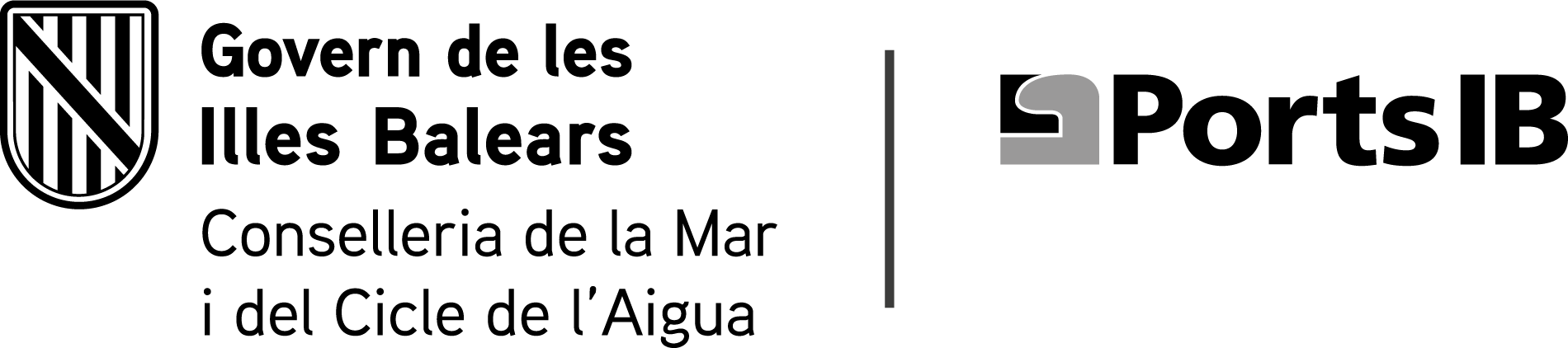 CSS_DGD_BN.png