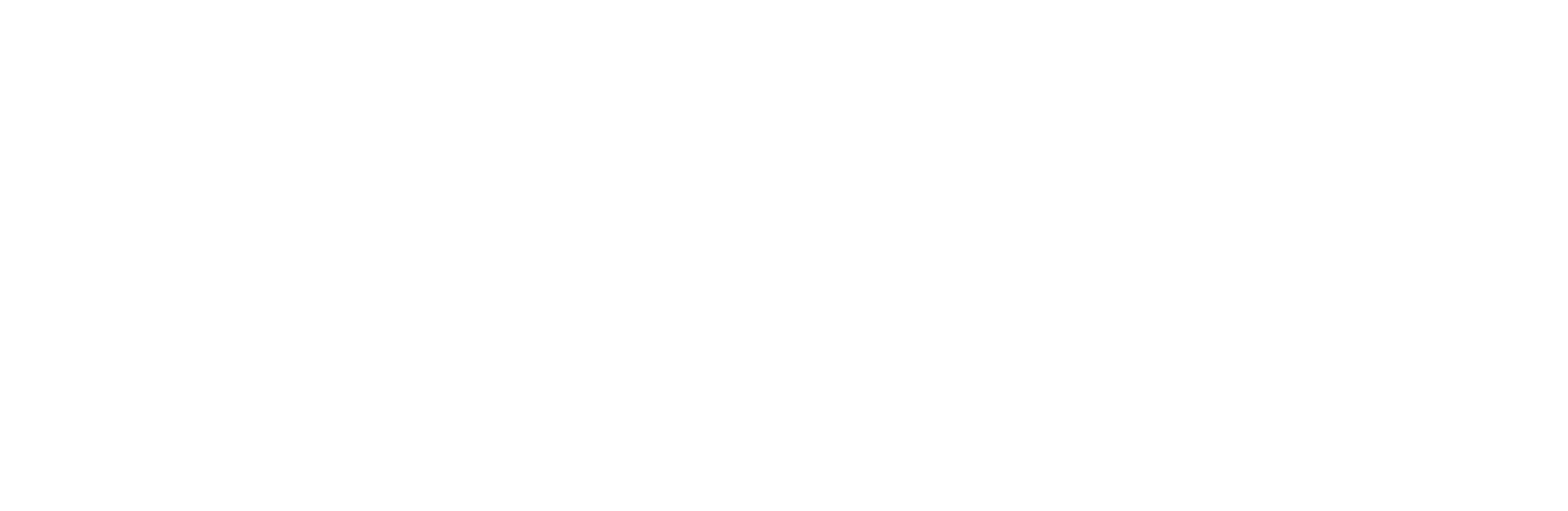 CSS_DGD_NBN.png