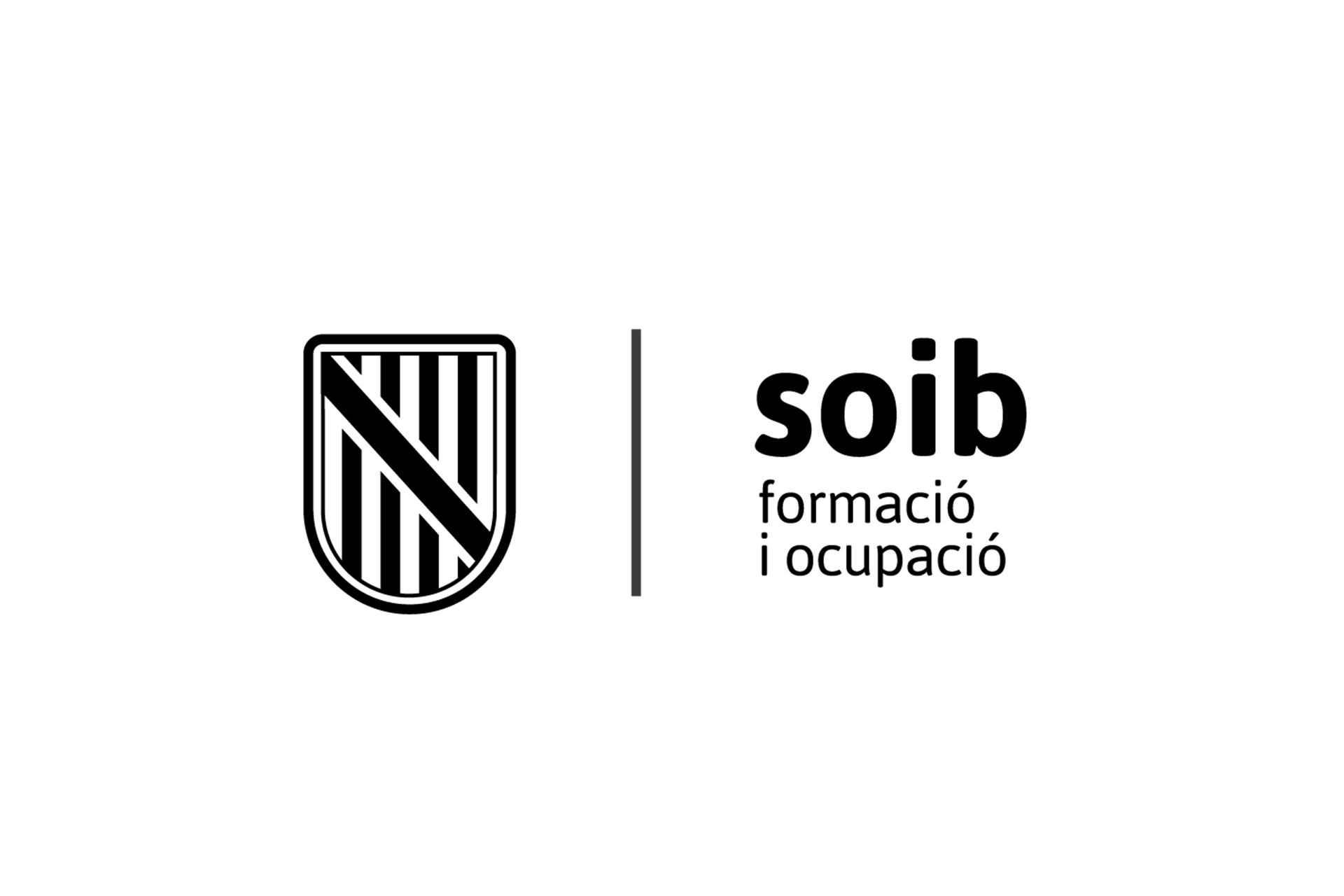 CSS_DGD_BN.png