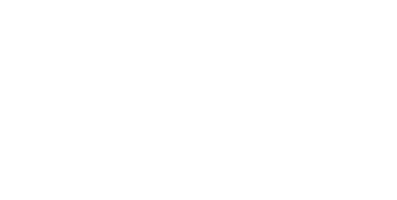 CSS_DGD_NBN.png