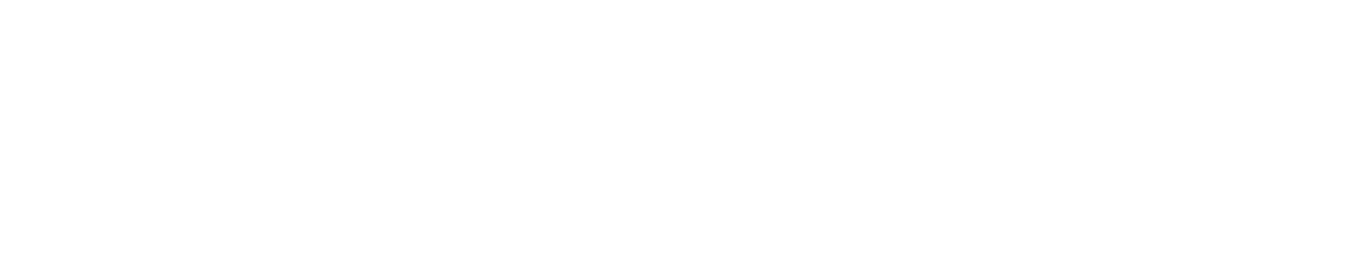 CSS_DGD_NBN.png