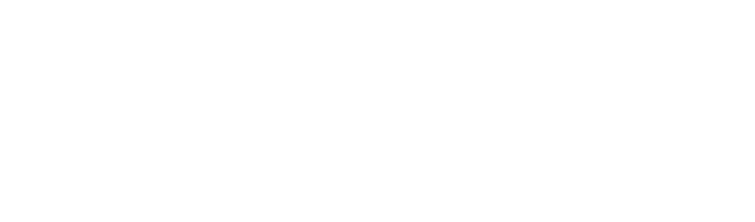 CSS _DGD_NBN.png