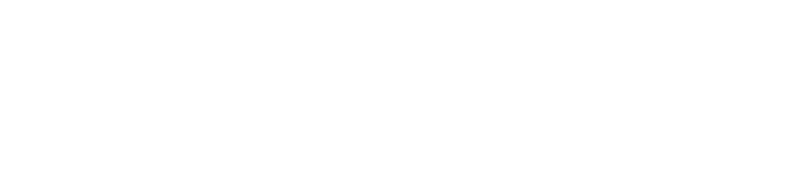 CSS _DGD_NBN.png