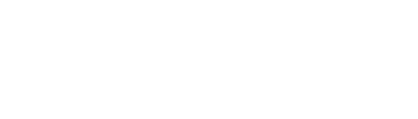 CSS _DGD_NBN.png