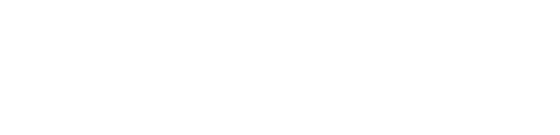 CSS _DGD_NBN.png