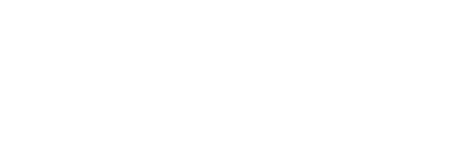 CSS _DGD_NBN.png