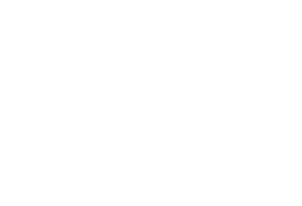 CSS _DGD_NCOL.png