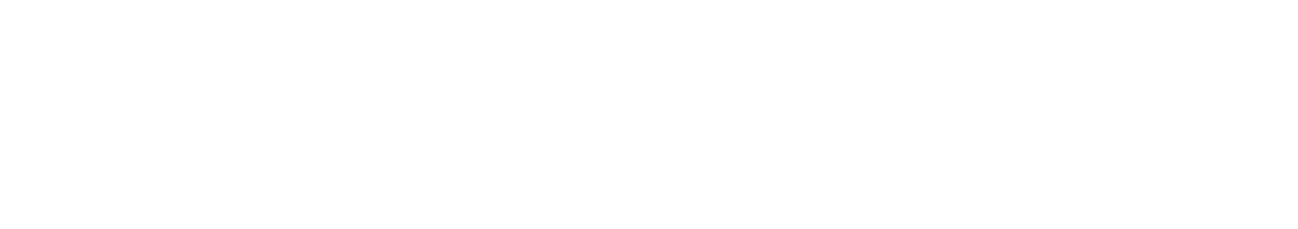 CSS _DGD_NBN.png