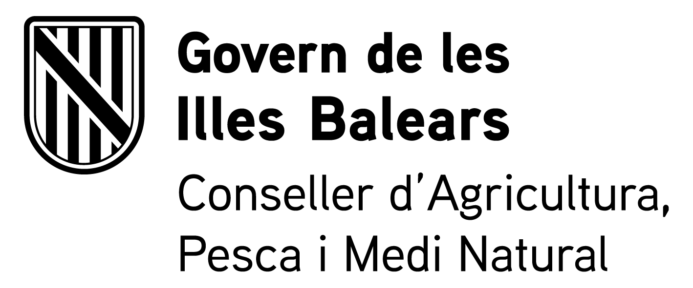 CSS _DGD_BN.png