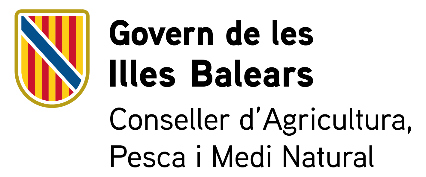 CSS _DGD_COL.png
