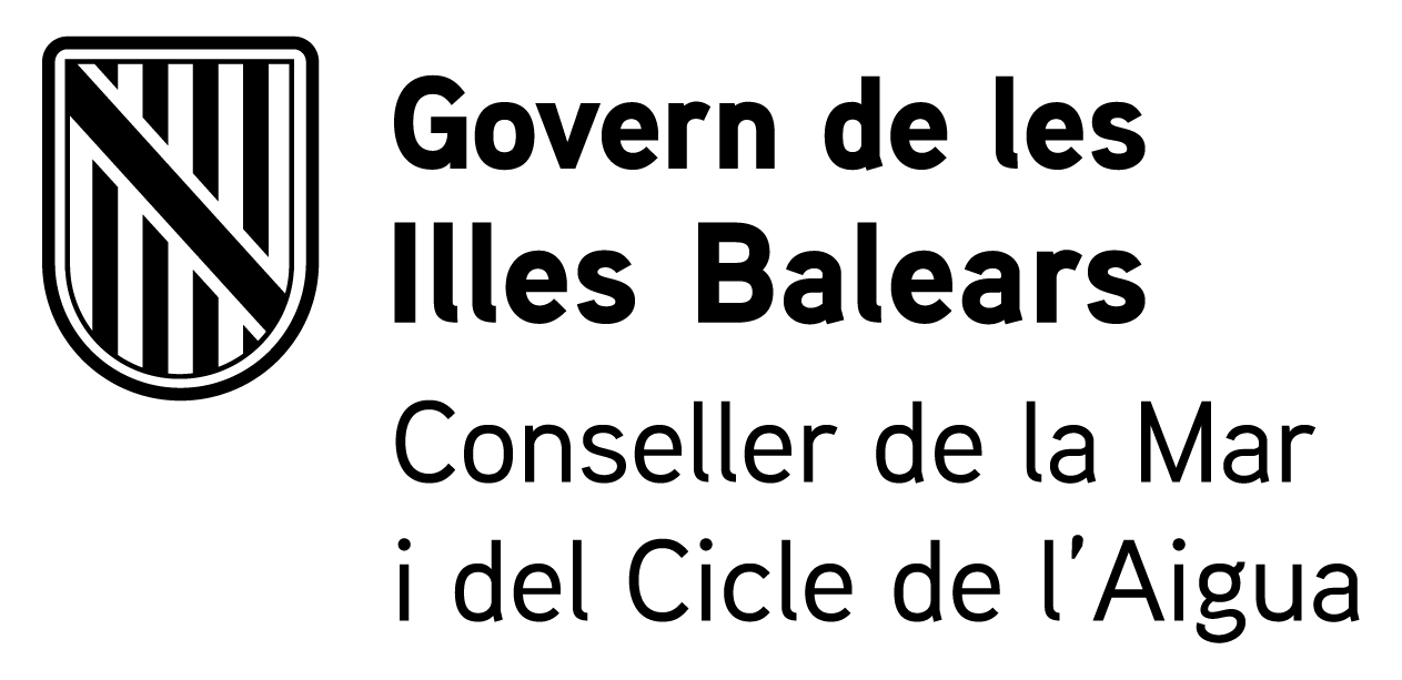 CSS _DGD_BN.png