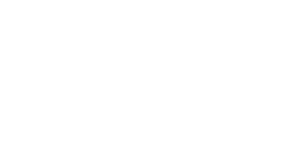 CSS _DGD_NBN.png