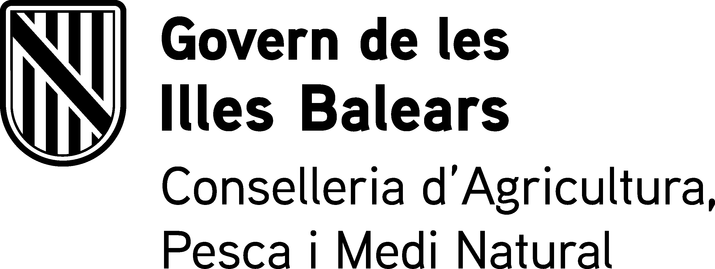CSS _DGD_BN.png